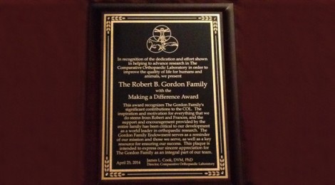 Gordon Family Award