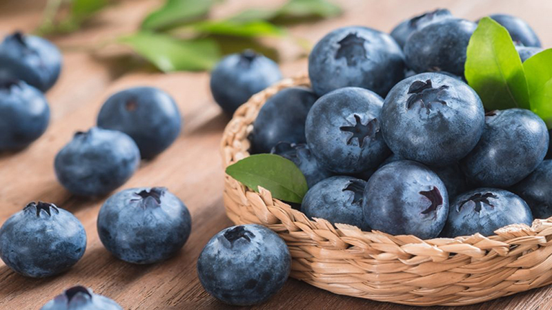 In vitro study combines radiation therapy, blueberry extract to improve treatment.