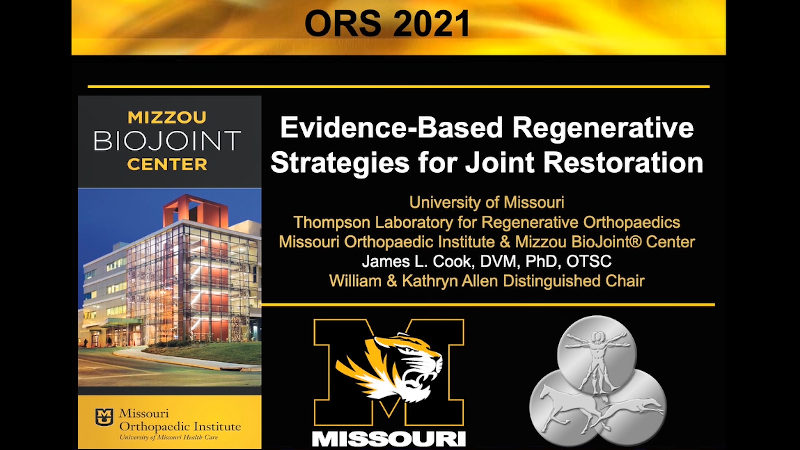 “Evidence-Based Regeneration Strategies for Joint Replacement.” slide graphic