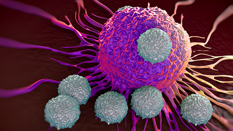 T-cells attacking cancer cell illustration 