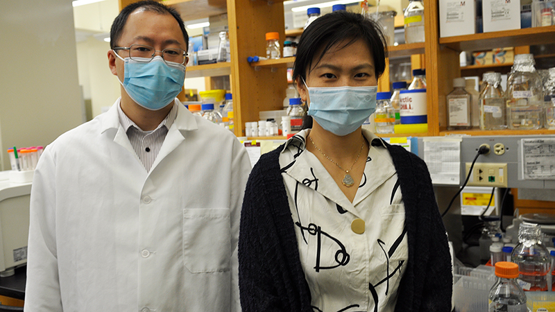 Xiao Heng (right) with Zhenwei Song, a postdoctoral fellow at MU who was also one of the study's co-authors.