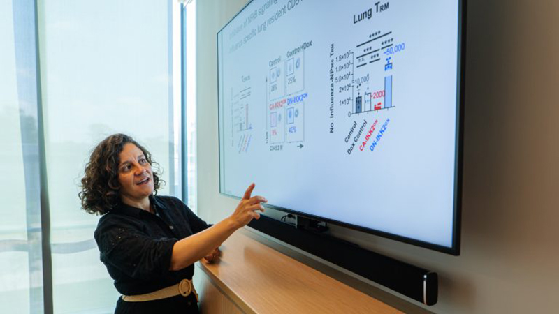 Emma Teixeiro, an associate professor in the MU School of Medicine, led the NIH-funded study. 