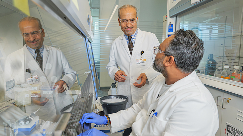 Haval Shirwan in his lab