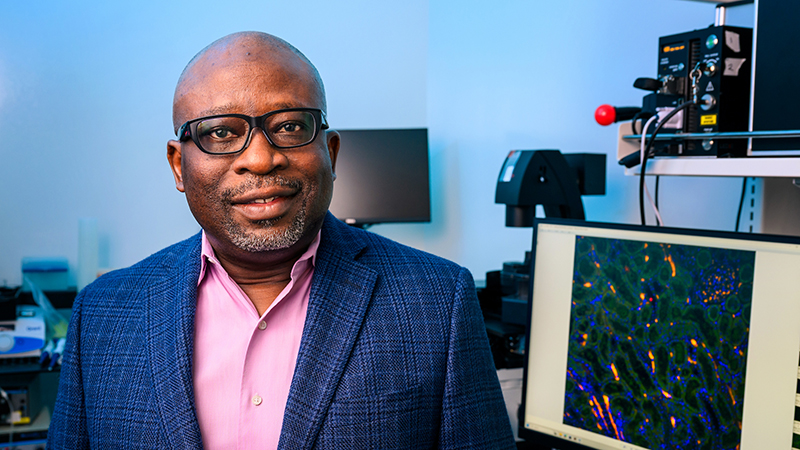 Adebowale Adebiyi, PhD is a professor of Medical Pharmacology and Physiology, Anesthesiology and Perioperative Medicine at the Mizzou School of Medicine