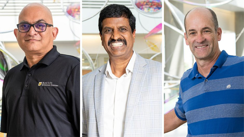 Mizzou's 2025 AAAS Fellows are, from left, Paul de Figueiredo, Roman Ganta and Wesley Warren