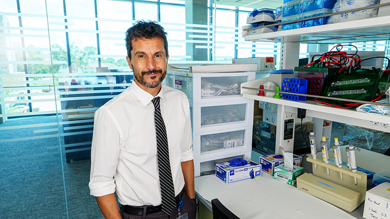 Alejandro R. Chade, MD is a professor of Medical Pharmacology and Physiology 