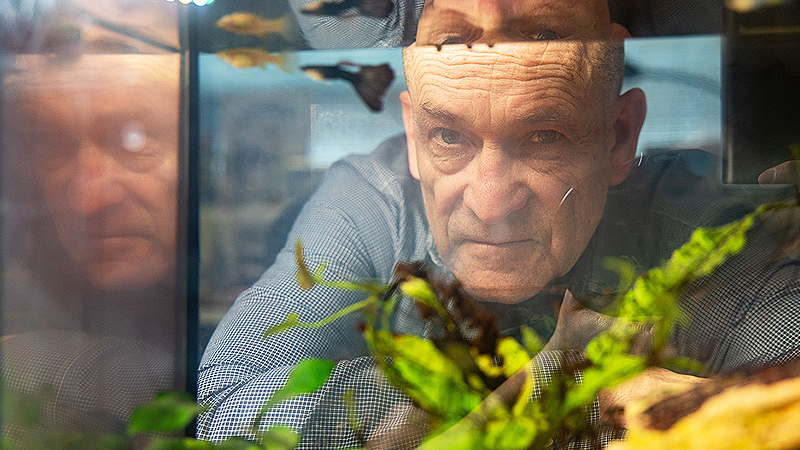 Wes Warren watches various species of fish in his office.