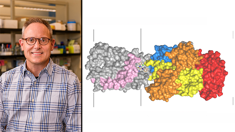 Michael Petris, professor of biochemistry in Mizzou’s School of Medicine