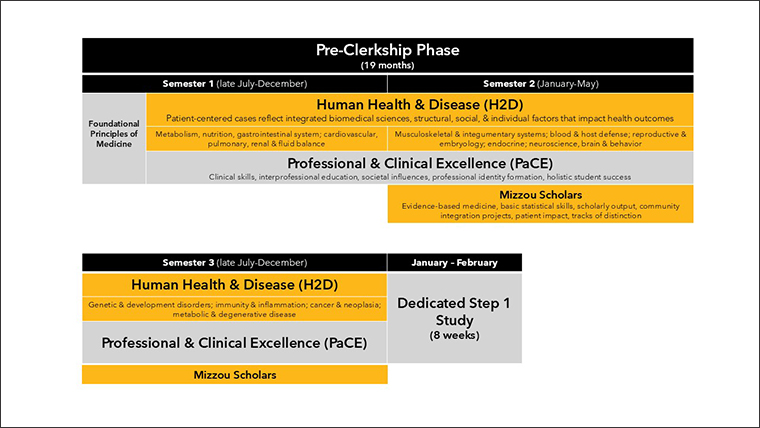 MOmentum_Curriculum_Schema_Slide-1