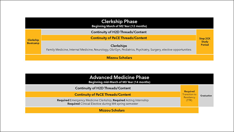 MOmentum_Curriculum_Schema_Slide-2