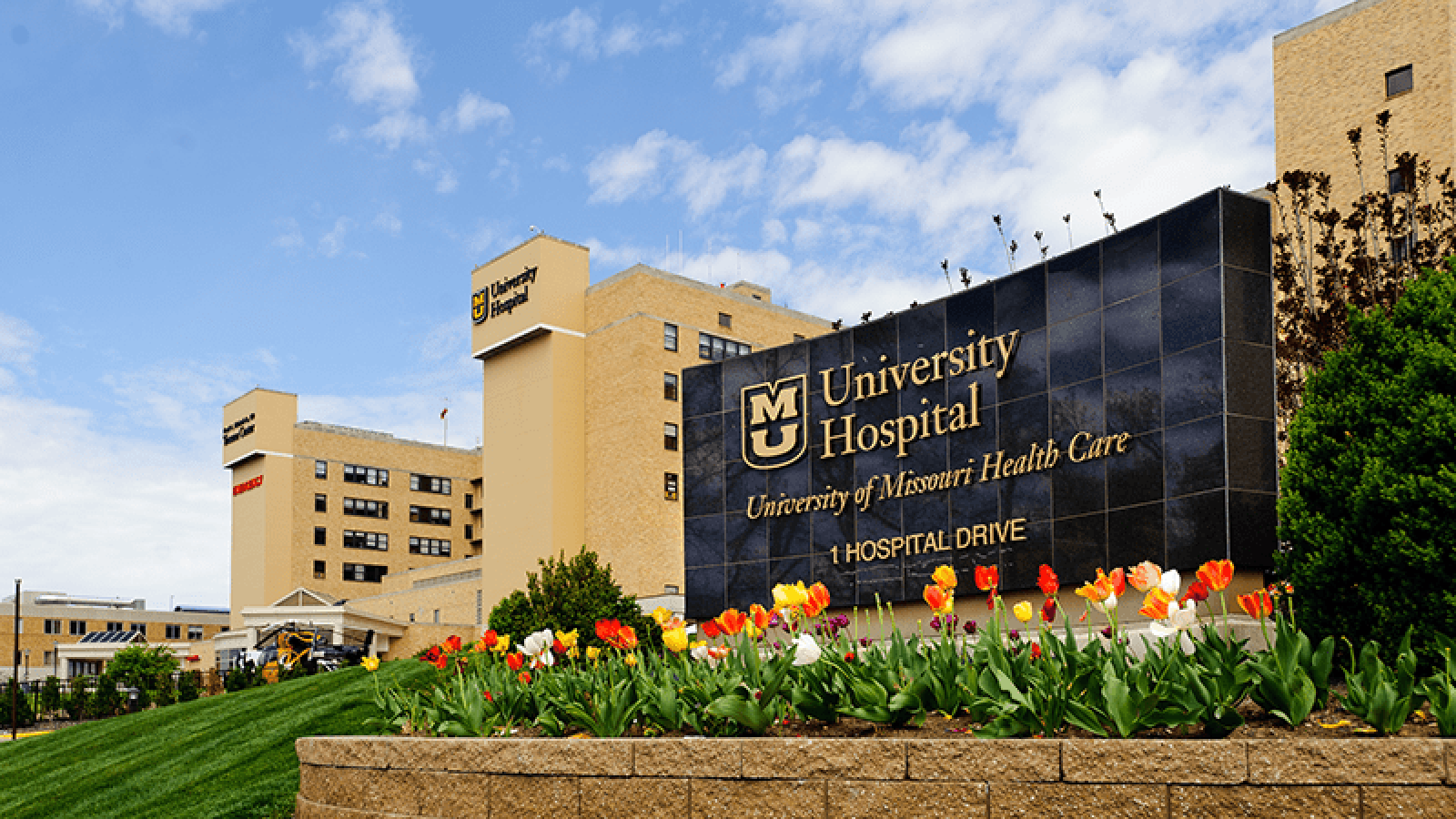 Faculty and Physician Careers - MU School of Medicine