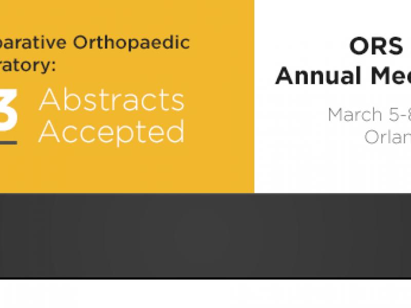 23 ABSTRACTS SELECTED FOR PRESENTATION AT ORS 2016