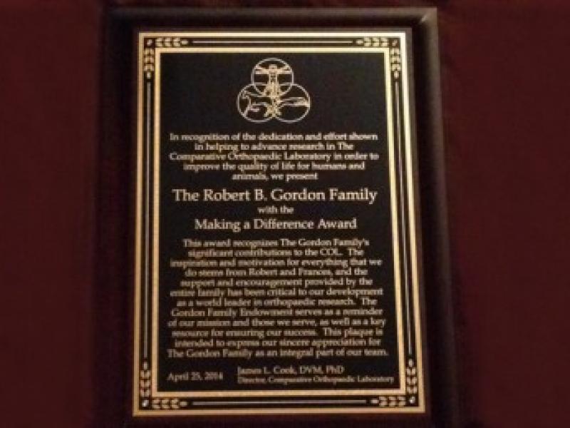 Gordon Family Award