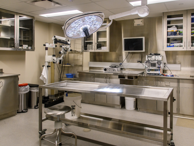 Missouri Orthopaedic Bioskills Lab
