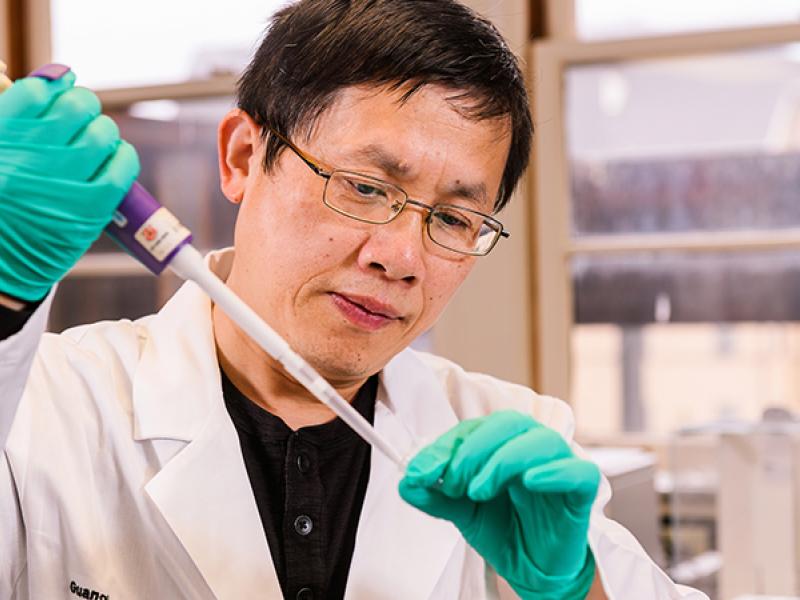 Guanghong Jia, PhD, an assistant professor at the University of Missouri School of Medicine