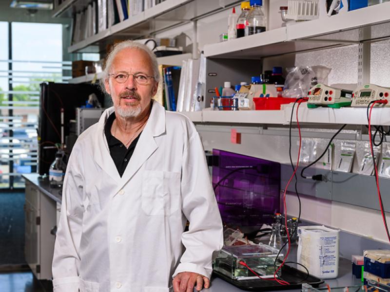 Mark Daniels, PhD is an associate professor of Molecular Microbiology and Immunology and Surgery at the Mizzou School of Medicine