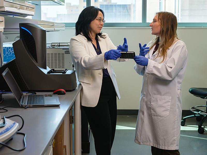 Professor Ai-Ling Lin and doctoral student Kira Ivanich work in Lin’s lab.