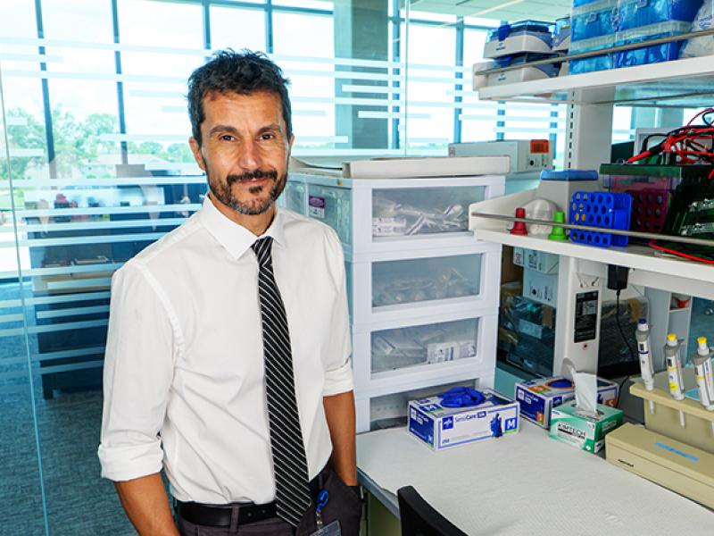 Alejandro R. Chade, MD is a professor of Medical Pharmacology and Physiology