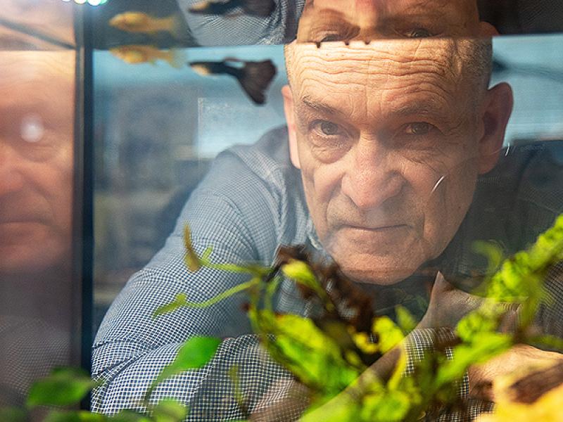 Wes Warren watches various species of fish in his office.